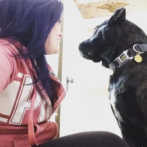 Meet your Posher, Havoc